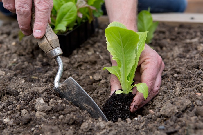 “10 Essential Gardening Tools Every Gardener Should Have in Their Arsenal”