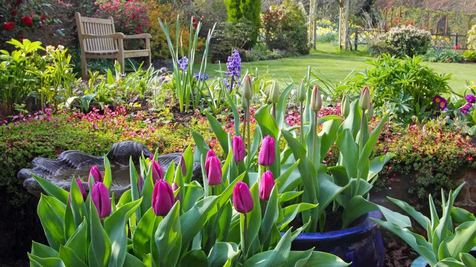 “Seasonal Gardening Tasks: What to Do in Your Garden Each Month of the Year”