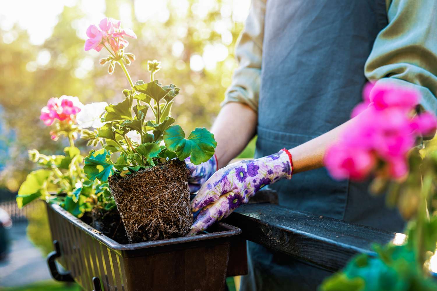 “Indoor Gardening: Bringing Nature Inside with Houseplants and Indoor Gardens”