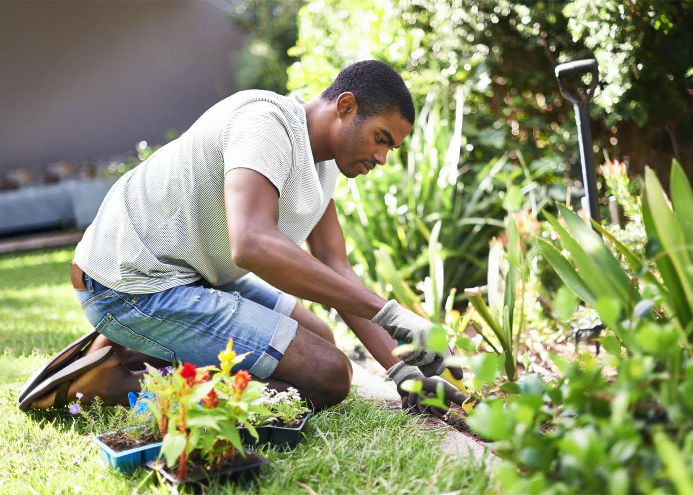 “Water-Wise Gardening: Strategies for Conserving Water in Your Garden”
